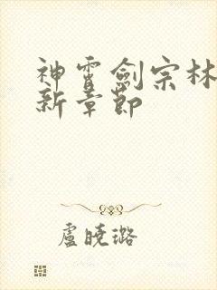 神霄剑宗林枫最新章节