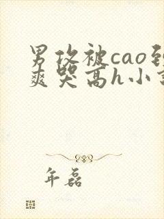 男攻被cao到爽哭高h小说封面