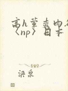 高h荤爽肉欲文〈np〉日本