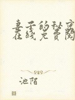 妻子的秘密小说在线免费阅读