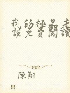 我的极品老婆小说免费阅读全文