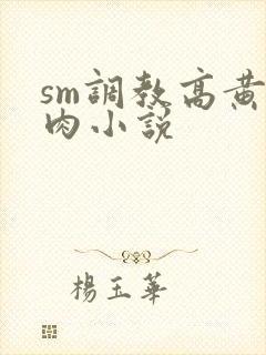 sm调教高黄纯肉小说