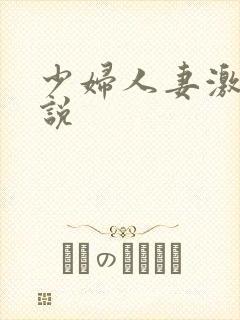 少妇人妻激情小说封面