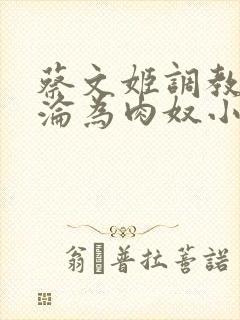 蔡文姬调教喷水沦为肉奴小说