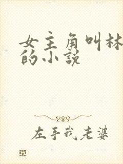 女主角叫林星澜的小说