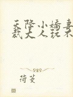 天降小娇妻,总裁大人玩不起