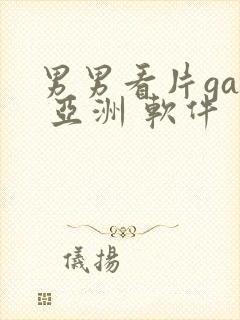 男男看片gay 亚洲 软件