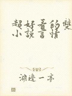 超好看的双男主小说言情