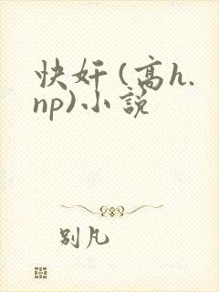 快奸 (高h.np)小说