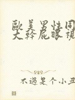 欧美男性同性恋大干屁眼视频网站