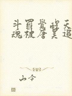 斗罗觉醒天使武魂被唐昊追杀