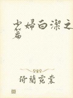 少妇白洁之陈三篇封面