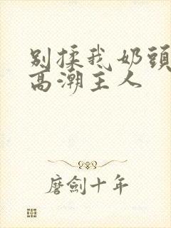 别揉我奶头嗯啊高潮主人