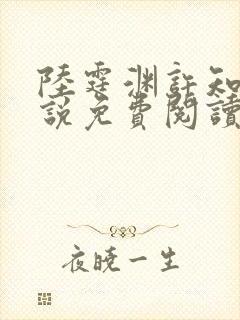 陆霆渊许知夏小说免费阅读最新章节