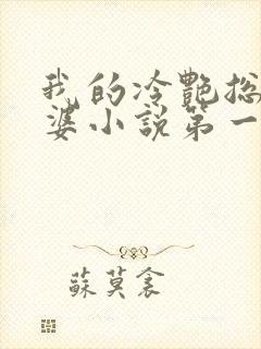 我的冷艳总裁老婆小说第一部封面