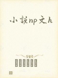 小说np文h