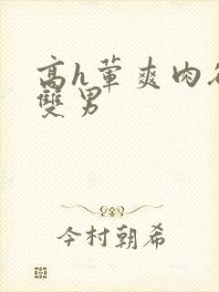 高h荤爽肉欲文双男