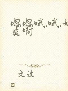 嗯嗯哦,哦,好爽啊封面