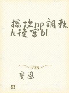 总攻np调教高h后宫bl