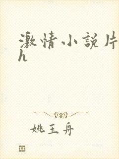 激情小说片段高h