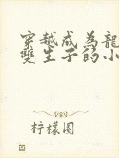 穿越成为龙皓晨双生子的小说