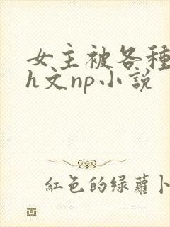 女主被各种调教h文np小说