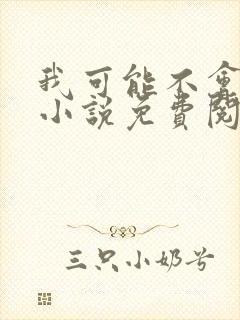 我可能不会爱你小说免费阅读