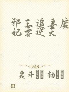 邪王追妻废材狂妃要逆天封面