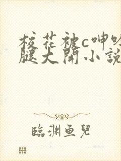 校花被c呻吟双腿大开小说封面