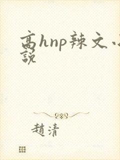 高hnp辣文小说