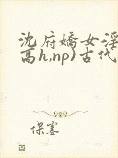 沈府娇女淫史(高h,np)古代