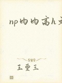 np肉肉高h文