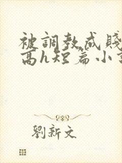 被调教成贱奴的高h短篇小说推荐