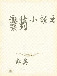 激情小说之公媳系列封面