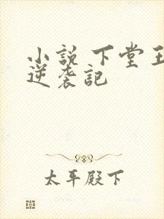 小说 下堂王妃逆袭记