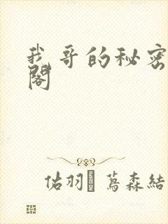 我哥的秘密笔趣阁