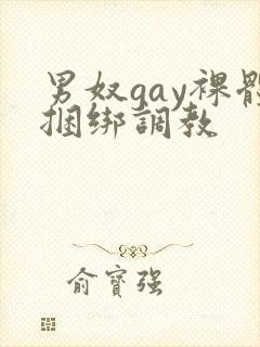 男奴gay裸体捆绑调教
