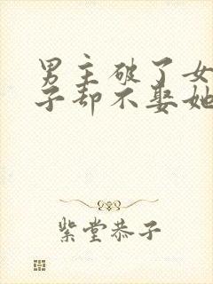 男主破了女主身子却不娶她封面