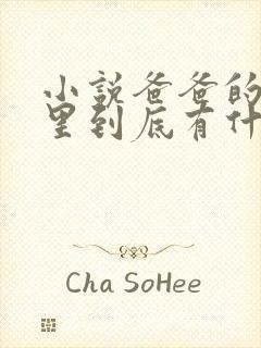 小说爸爸的书房里到底有什么