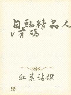 日韩精品人妻av有码