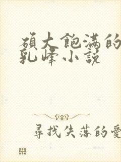 硕大饱满的高耸乳峰小说