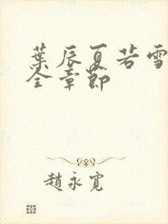 叶辰夏若雪孙怡全章节封面