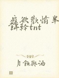 瘾欲欢愉半块小饼干tnt