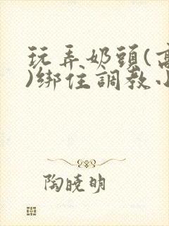 玩弄奶头(高h)绑住调教小说