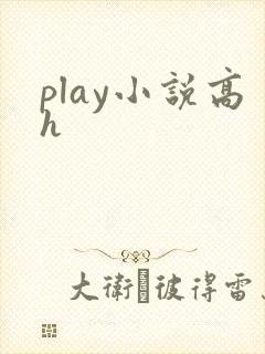 play小说高h封面