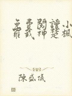 免费阅读小说修罗武神楚枫