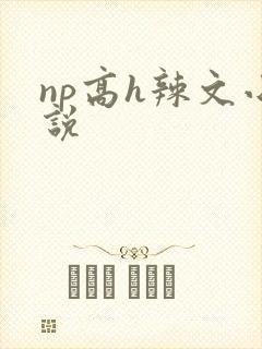np高h辣文小说