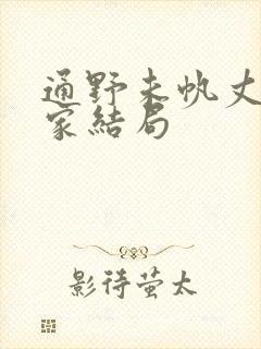 通野未帆丈夫回家结局封面