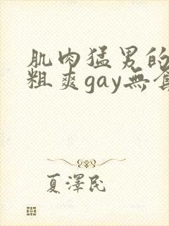 肌肉猛男的大巨粗爽gay无套