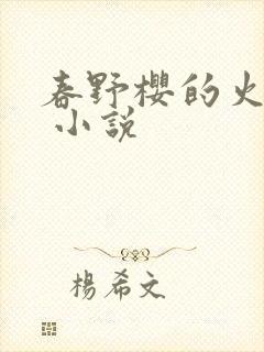 春野樱的火影传 小说